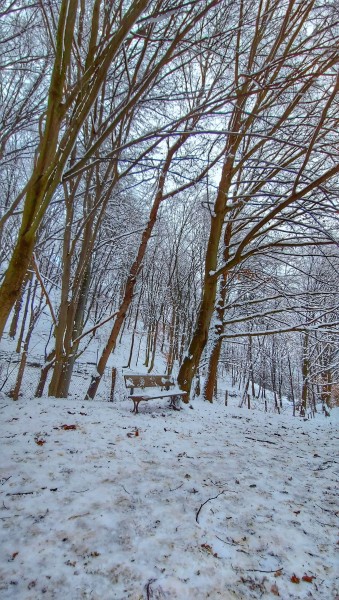 De ce sa vizitezi Manastirea Prislop, iarna?