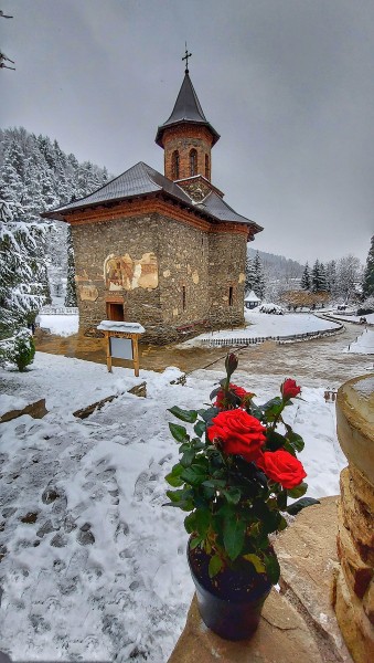 De ce sa vizitezi Manastirea Prislop, iarna?