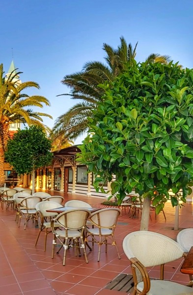 Ali Bey Club Manavgat, hotelul autentic turcesc in care te simti bine